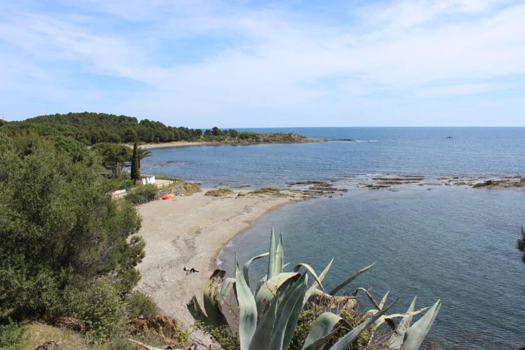 Luxury 4 Bed Apartment On Coastal Footpath At Cap Ras Llança 외부 사진